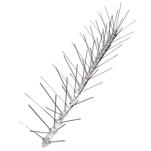 Espigas para pájaros - 50 cm (120 espigas/m)