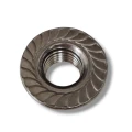 Tuerca hexagonal con brida M10 con serraciones DIN 6923 PV-13-02 (2)