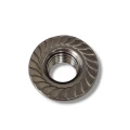 Tuerca hexagonal con brida M8 con serraciones DIN 6923 PV-11-03 (2)